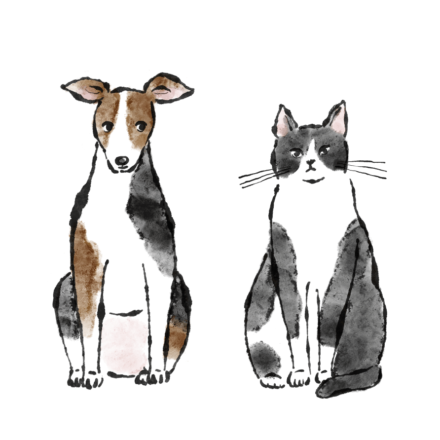 KINS WITH|愛犬愛猫にも菌ケアを。
