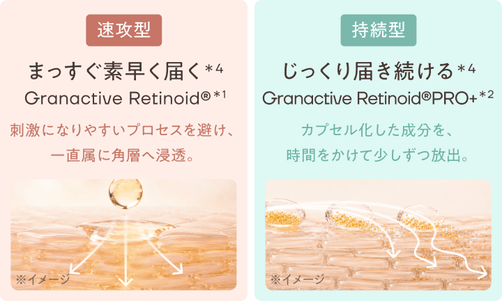 速攻型と持続型の2種のグラナクティブレチノイドの浸透イメージ
